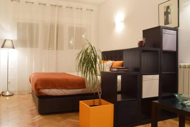 Estudio Acogedor Y Luminoso Apartment Madrid Exterior foto